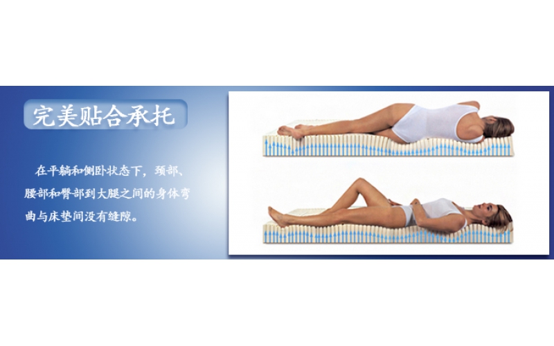 美國(guó)進(jìn)口SomniGel雙膠床墊怎么樣？